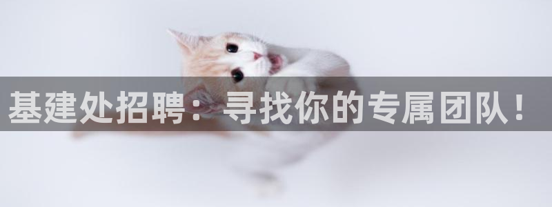 华润娱乐找382223